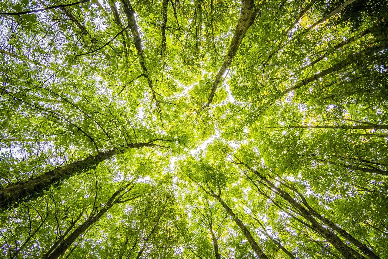 Read more about the article The Impact of ESG Investing and What it Means for Your Financial Planning￼