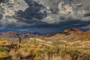 Image of the Arizona desert.